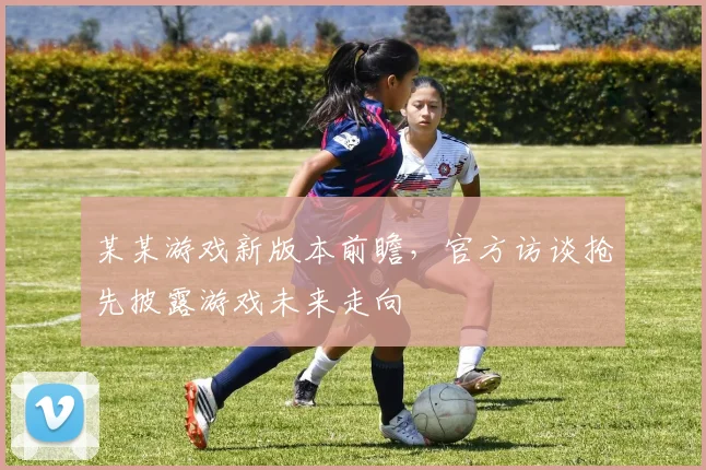 某某游戏新版本前瞻,官方访谈抢先披露游戏未来走向